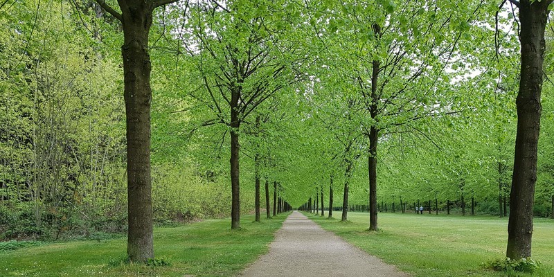 Schwerpunkte Tätigkeit Sögel Emsland